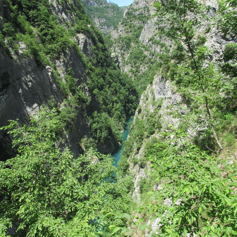 Apartment Mitric Plužine Dış mekan fotoğraf